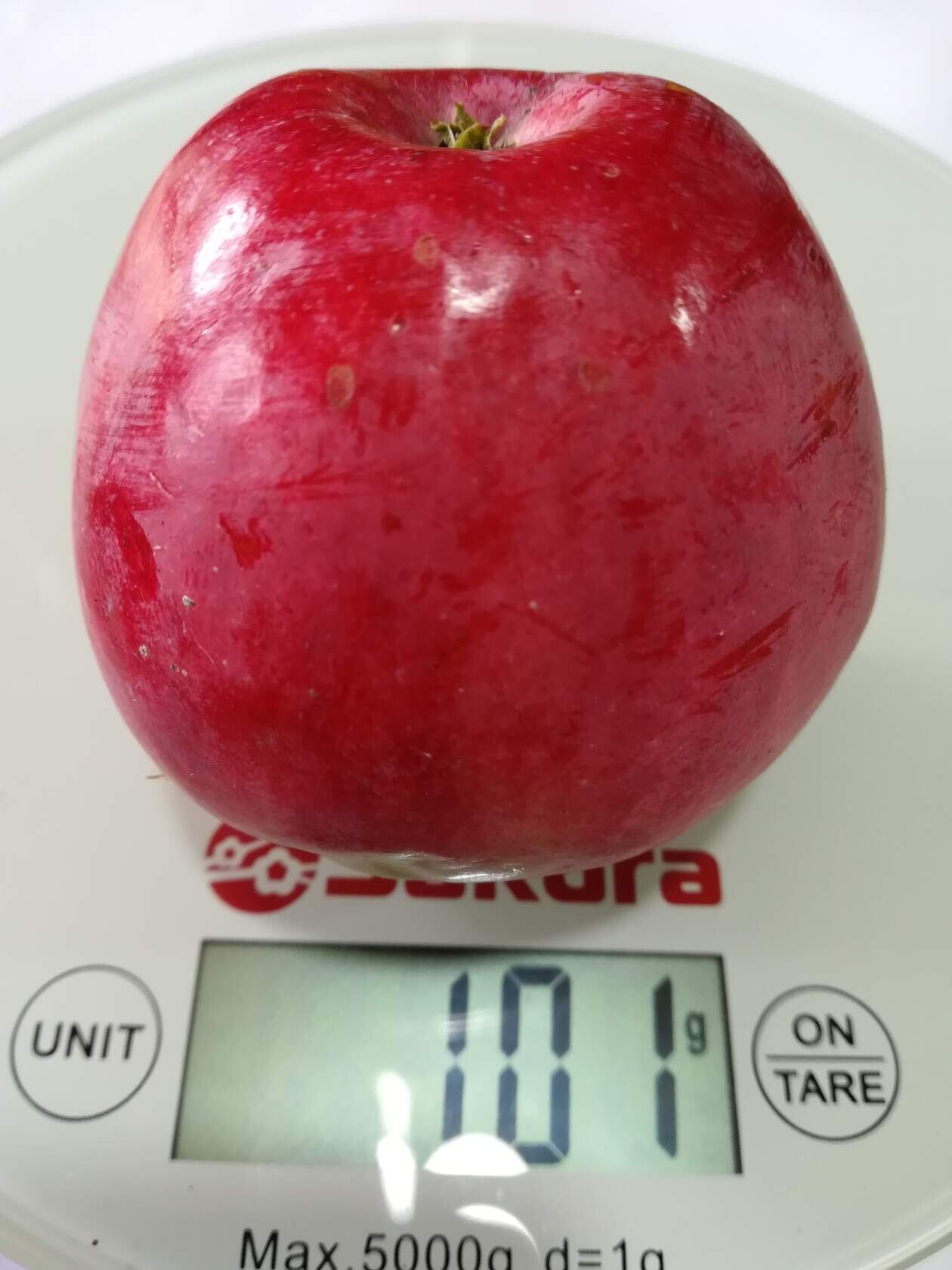 26А-1-1 26А-1-1