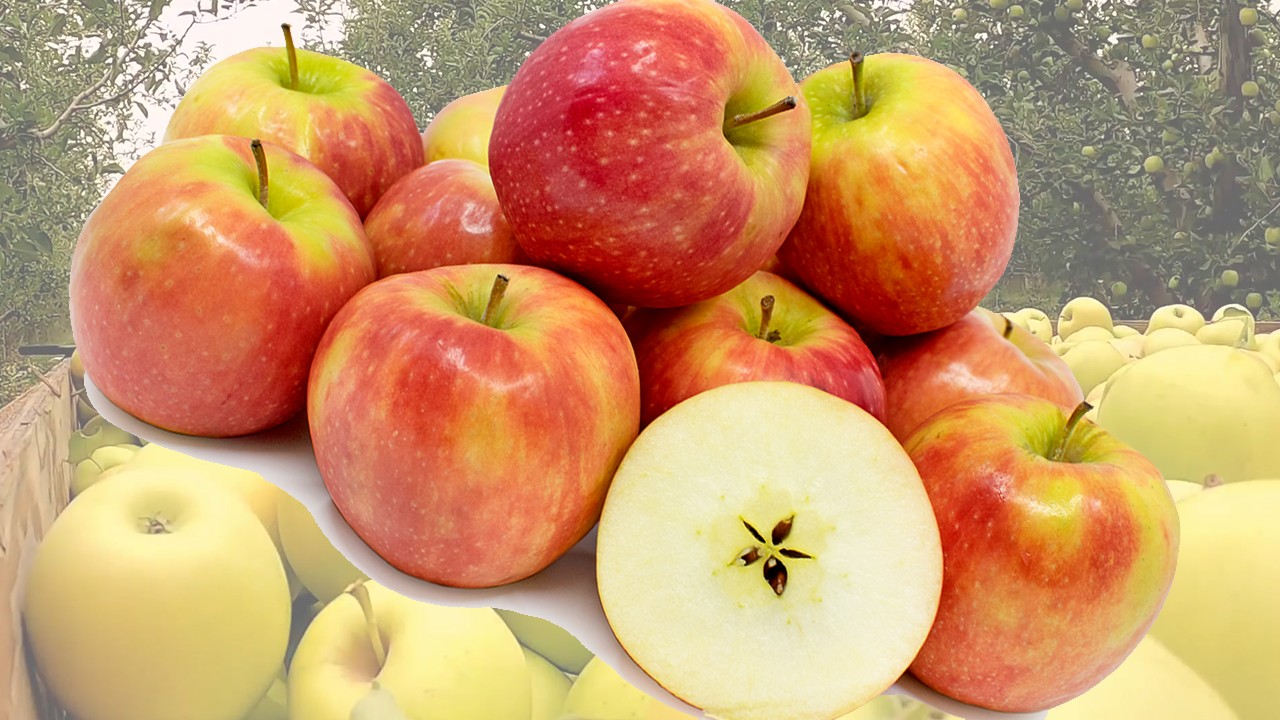 Cripps Pink Apples (Яблоня Криппс Пинк) Cripps Pink Apples (Яблоня Криппс Пинк)