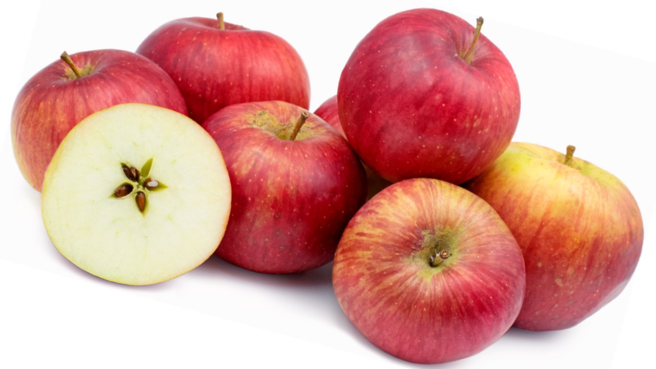 Wealthy Apple (Яблоня Вилзи) Wealthy Apple (Яблоня Вилзи)