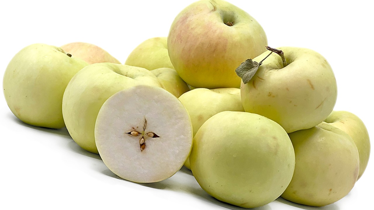 White Filling Apples (Яблоня Вайт Филлин) White Filling Apples (Яблоня Вайт Филлин)