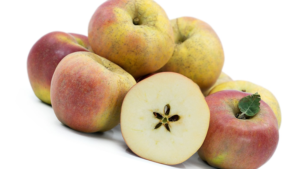 William Crump Apples (Яблоня Вильям Крамп) William Crump Apples (Яблоня Вильям Крамп)