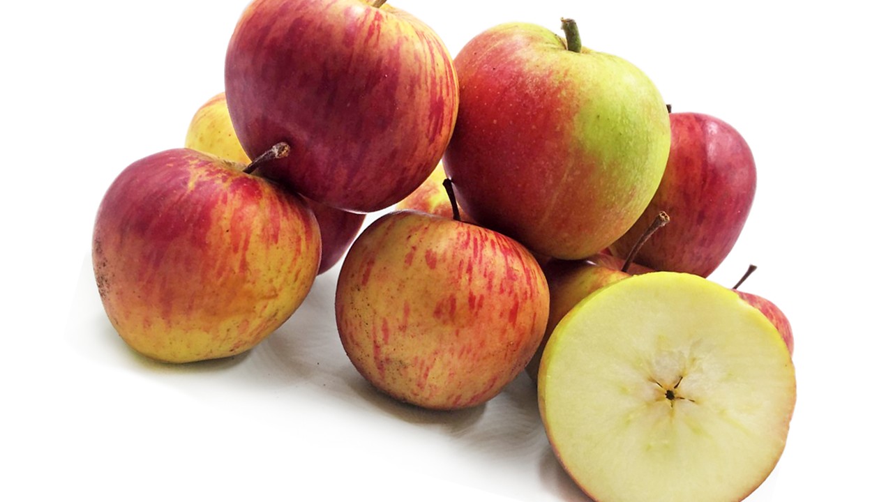 William's Favourite Apples (Яблоня Вильямс Фейворит) William's Favourite Apples (Яблоня Вильямс Фейворит)