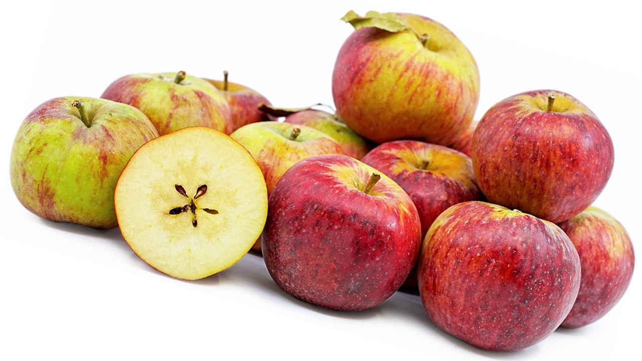 WineCrisp Apple (Яблоня Вайн Крамп) WineCrisp Apple (Яблоня Вайн Крамп)