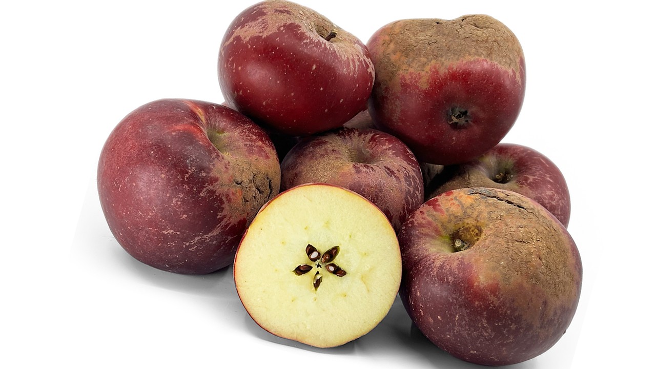 Stayman Winesap Apples (Яблоня Стайман Вайнсап) Stayman Winesap Apples (Яблоня Стайман Вайнсап)