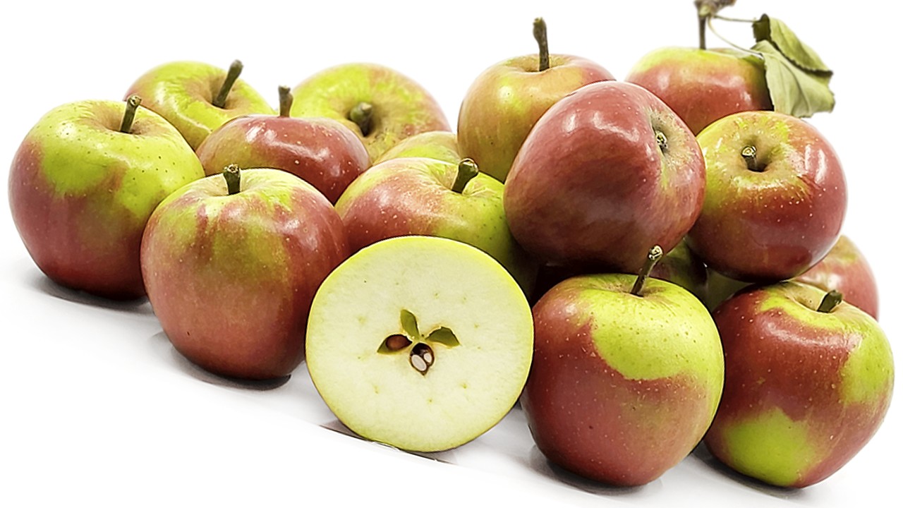 Winston Apples (Яблоня Винстон) Winston Apples (Яблоня Винстон)