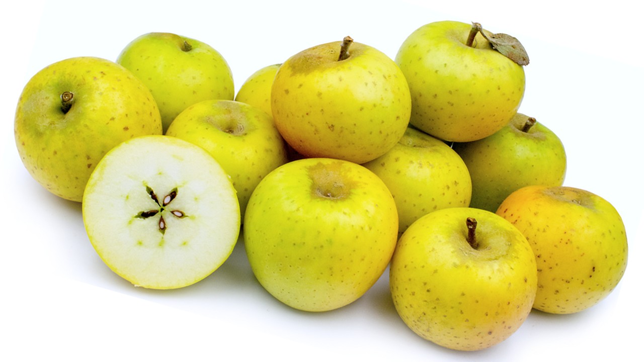 Wyken Pippin Apples (Яблоня Вайкен Пиппин) Wyken Pippin Apples (Яблоня Вайкен Пиппин)