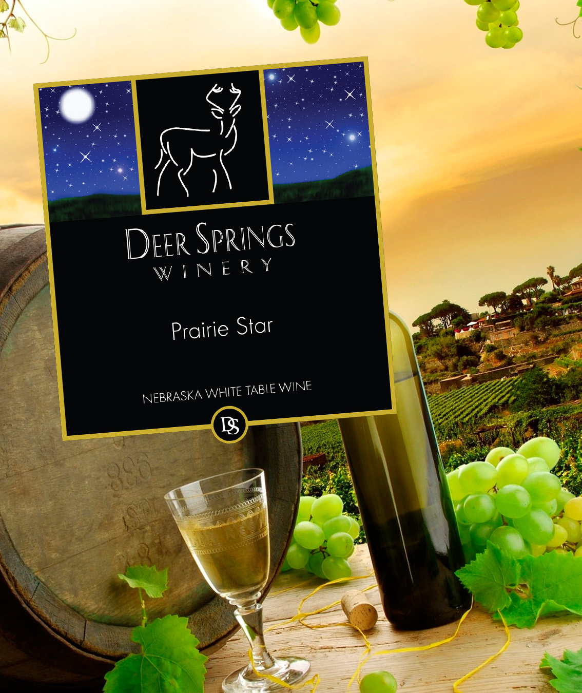 Вино из винограда Прэйри Стар "Deer Springs Winery Prairie Star"
