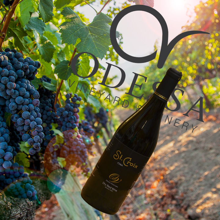 Вино из винограда Сент Кру "Odessa Vineyards St. Croix"