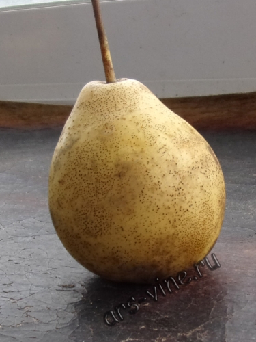 Ларинская